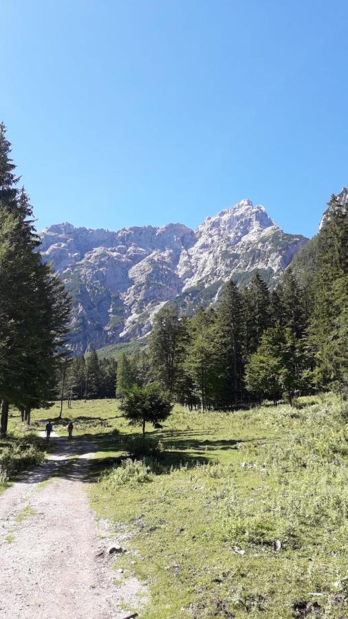 Apartma Julija Luce Bagian luar foto